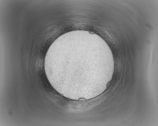 X0000115150033200912081356