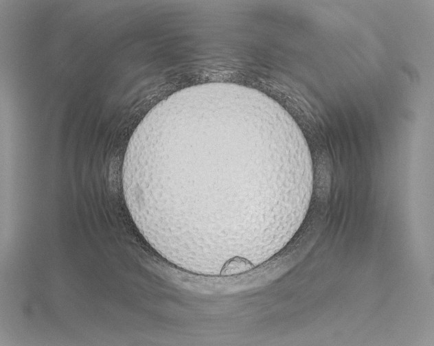 X0000115150034200912081356