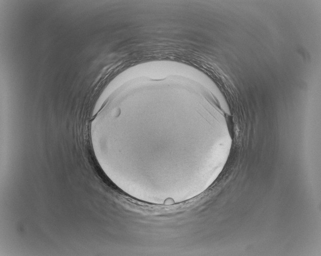 X0000115150035200912081356