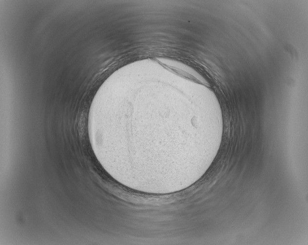 X0000115150036200912081356