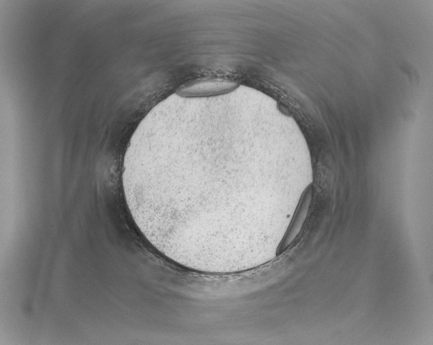 X0000115150037200912081356