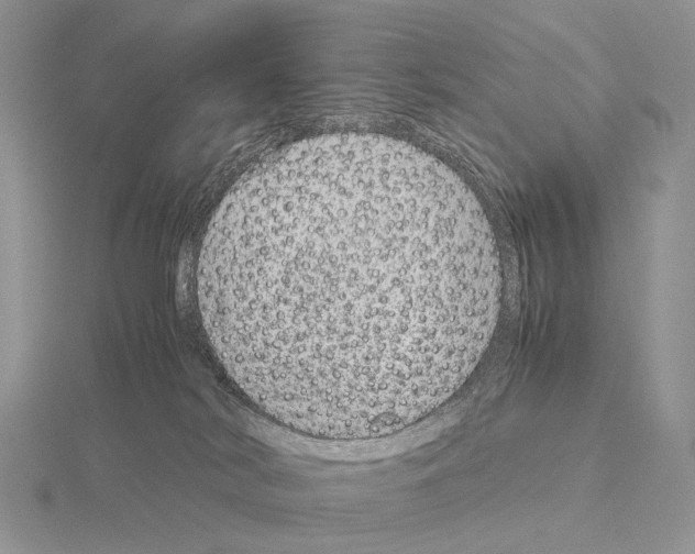 X0000115150038200912081356