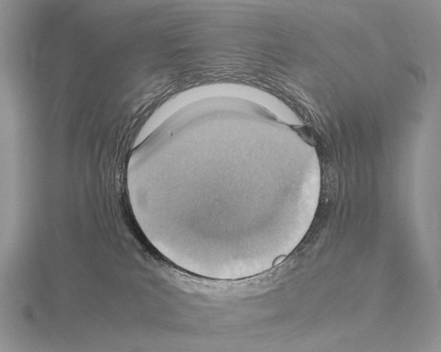 X0000115150039200912081356