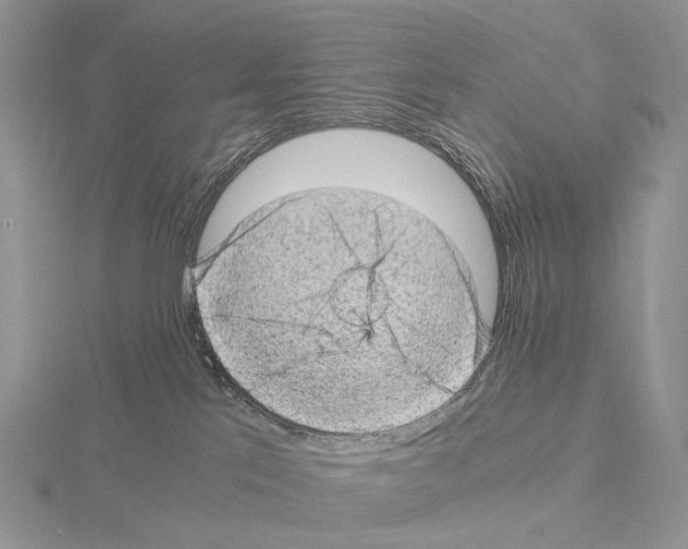 X0000115150041200912081356