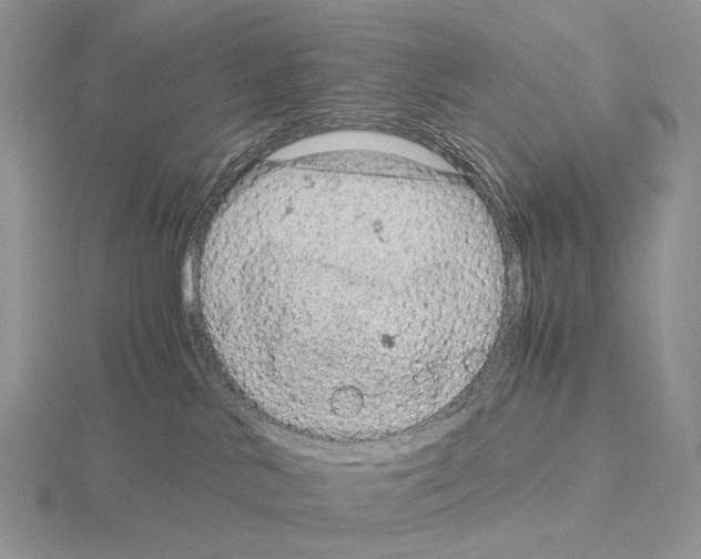 X0000115150042200912081356