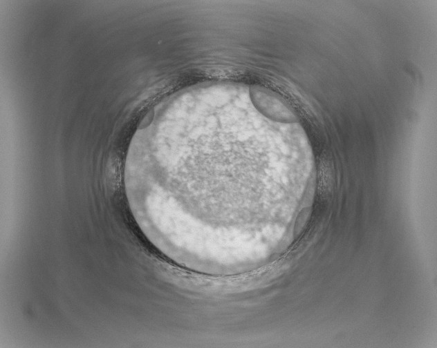 X0000115150043200912081356