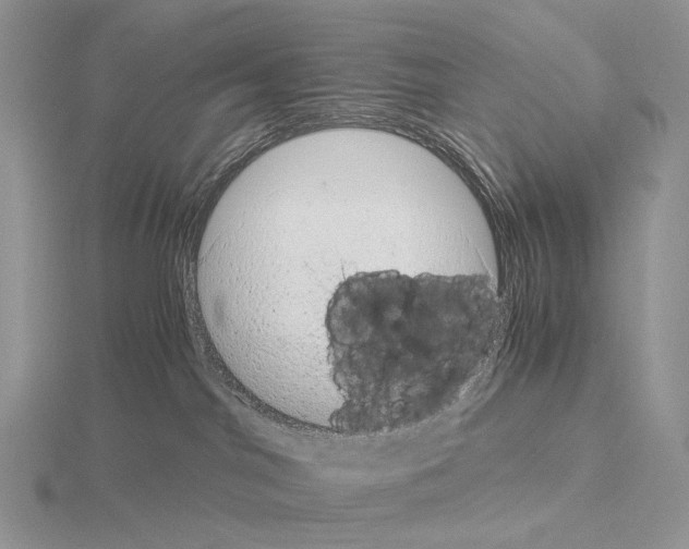 X0000115150044200912081356