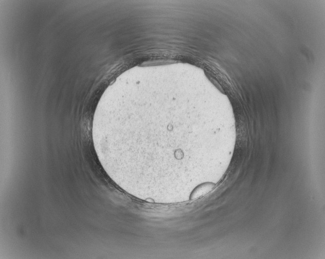 X0000115150045200912081356