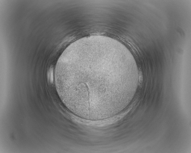 X0000115150046200912081356