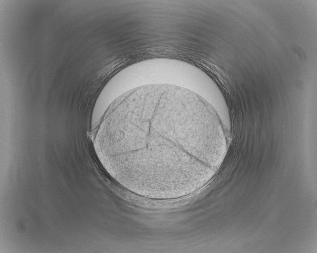 X0000115150047200912081356