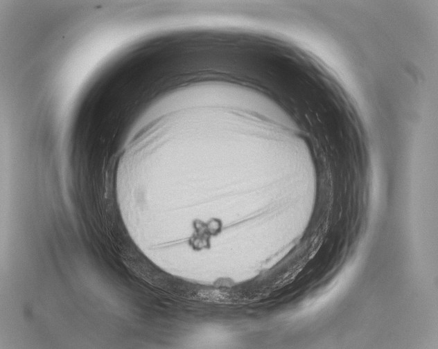 X0000115150050200912081355