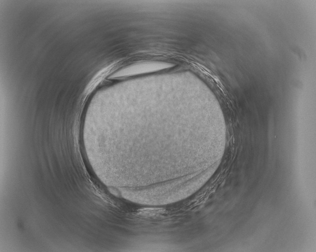 X0000115150051200912081355