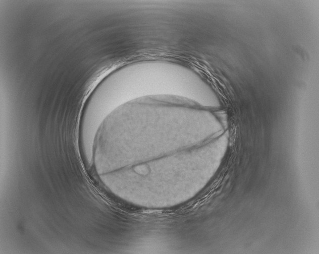 X0000115150052200912081355