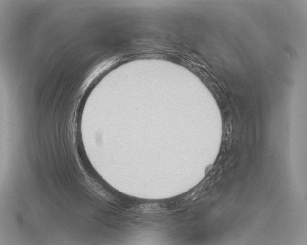 X0000115150054200912081355