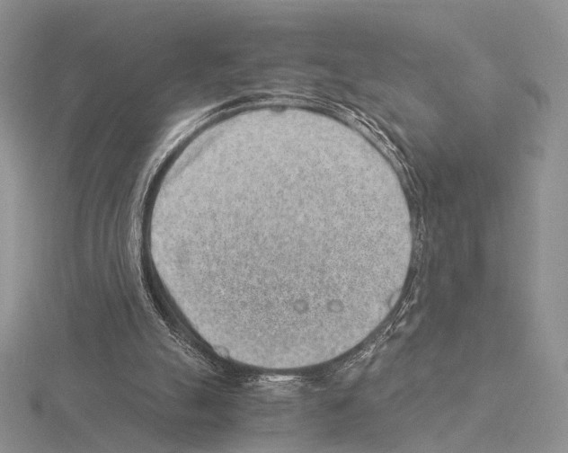 X0000115150055200912081355