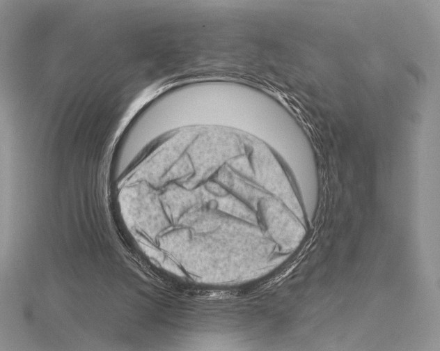 X0000115150056200912081355