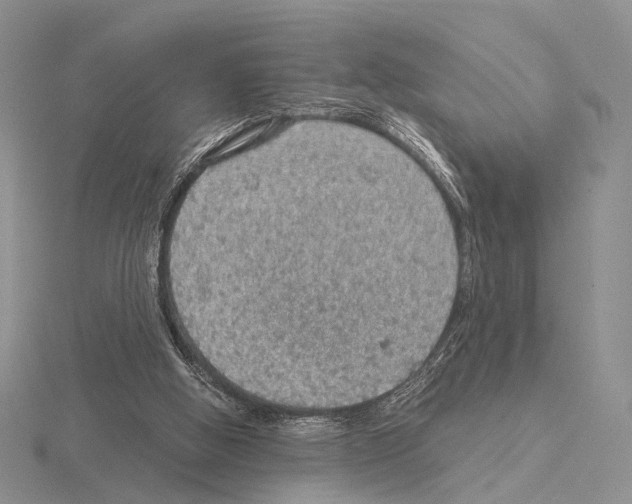 X0000115150058200912081355