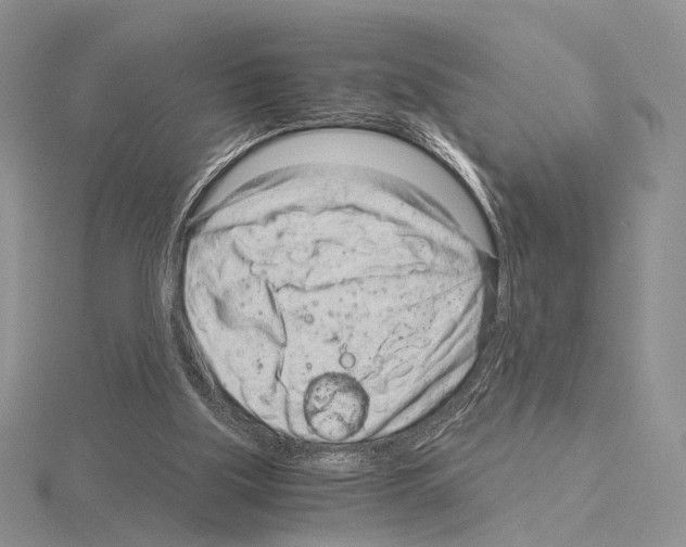 X0000115150059200912081355