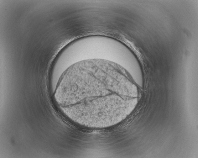 X0000115150060200912081355