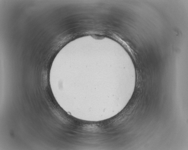 X0000115150061200912081355