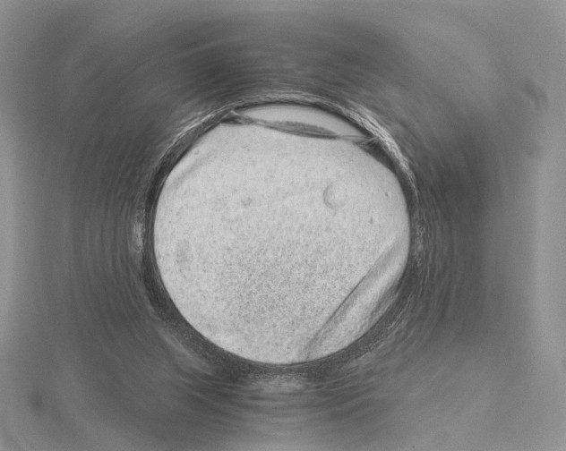 X0000115150063200912081355