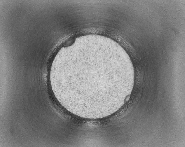 X0000115150064200912081355