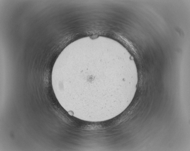 X0000115150065200912081355