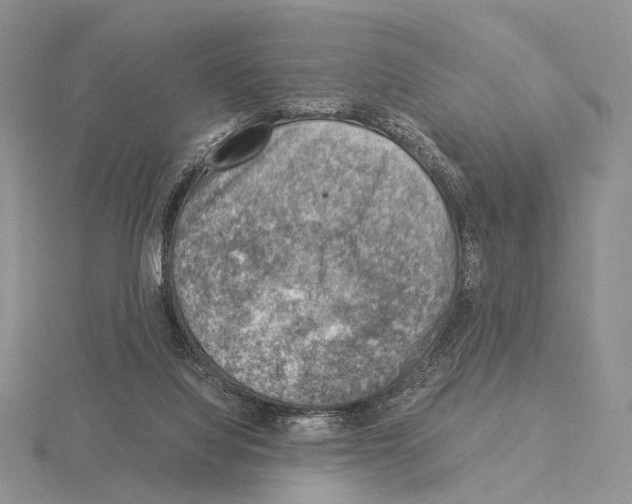 X0000115150068200912081355