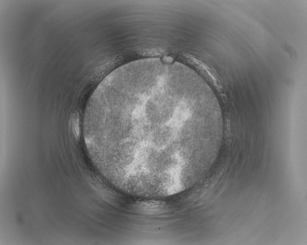 X0000115150069200912081355