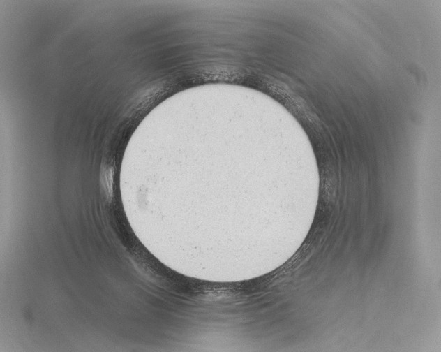 X0000115150070200912081355