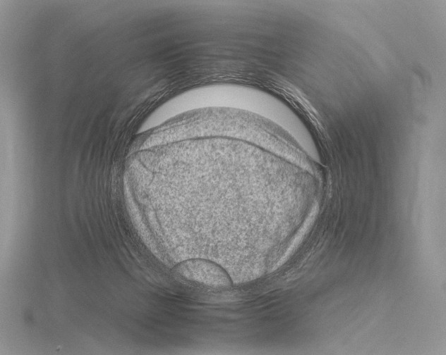 X0000115150073200912081355