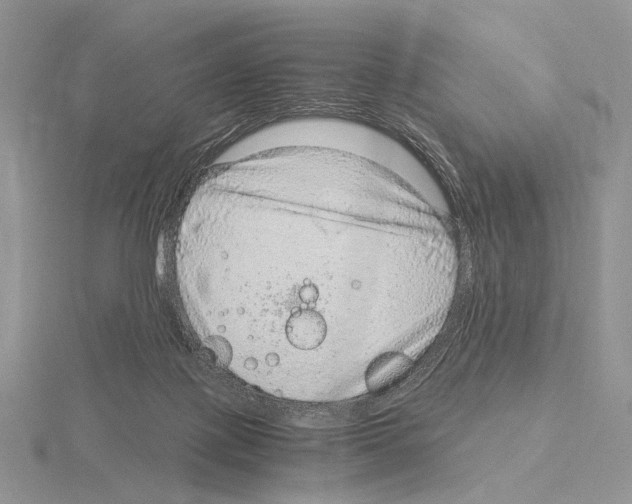 X0000115150075200912081355