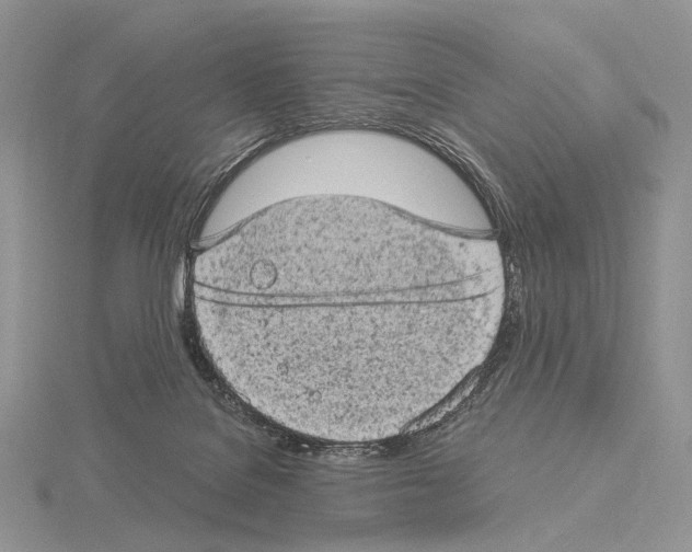 X0000115150076200912081355