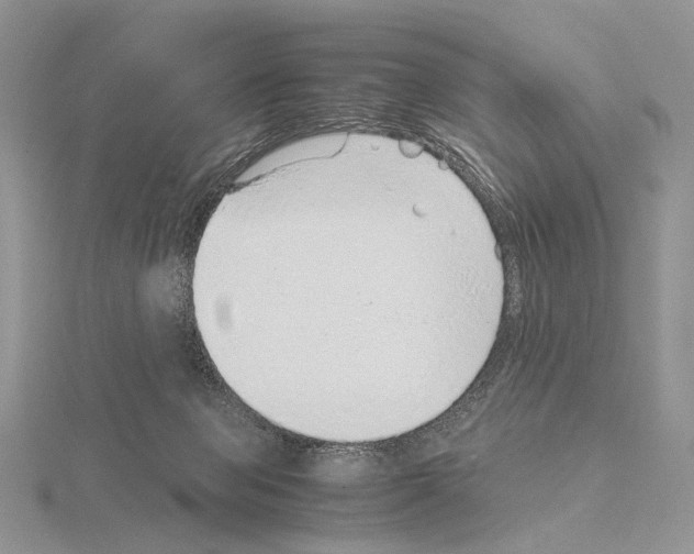 X0000115150077200912081355