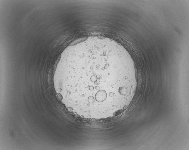 X0000115150078200912081355