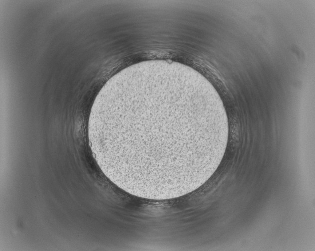 X0000115150079200912081355