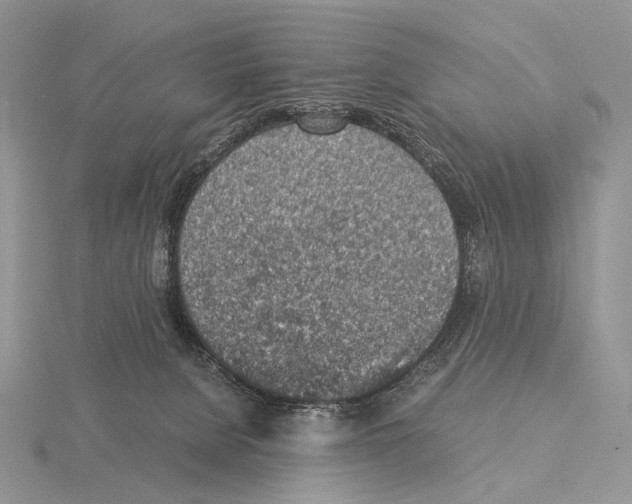 X0000115150080200912081355