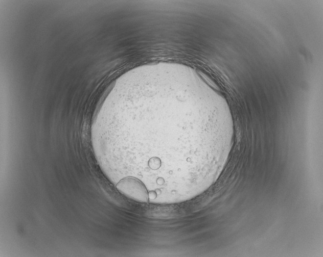 X0000115150081200912081356