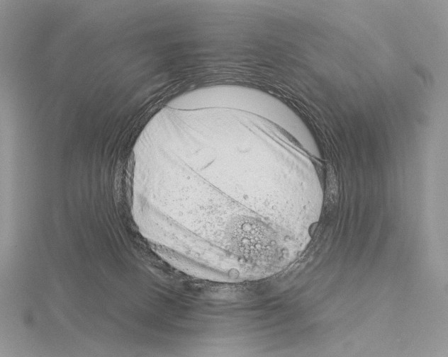 X0000115150082200912081356