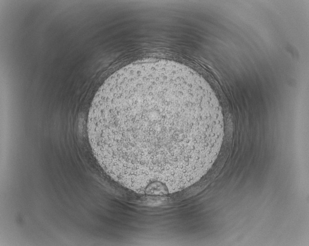 X0000115150083200912081356