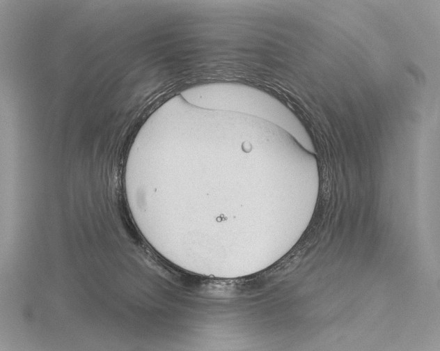 X0000115150084200912081356