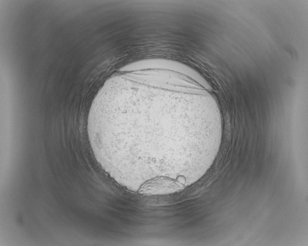 X0000115150085200912081356