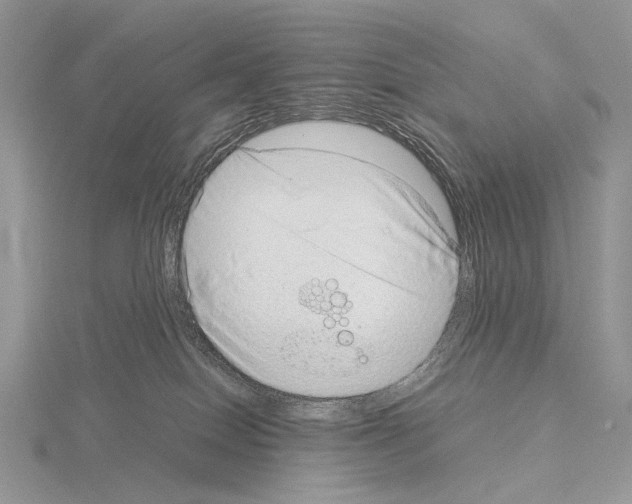 X0000115150086200912081356