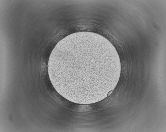 X0000115150087200912081356