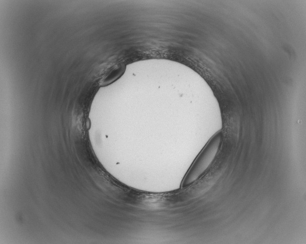 X0000115150088200912081356