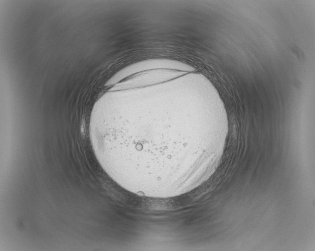 X0000115150089200912081356