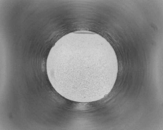 X0000115150090200912081356