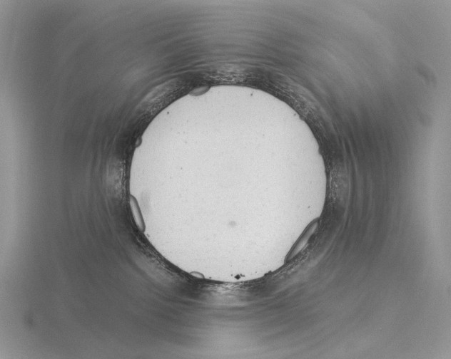 X0000115150092200912081356