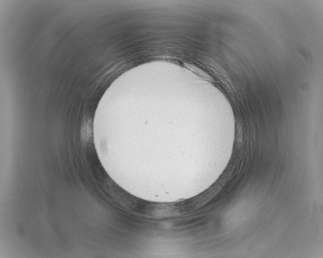 X0000115150095200912081356