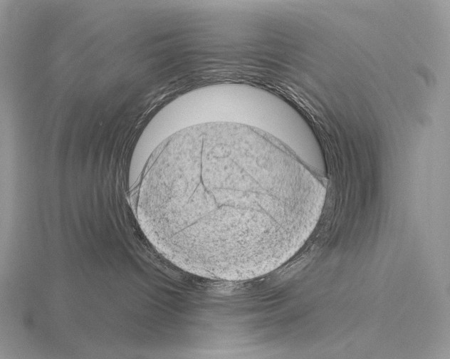 X0000115150096200912081356